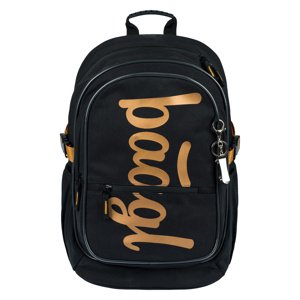 BAAGL školský Batoh Core Metallic Bronze - 25L